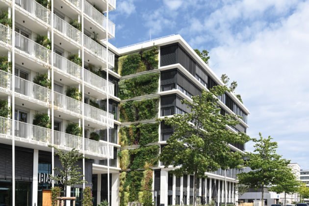 Immergrüne Architektur für aufblühendes Areal